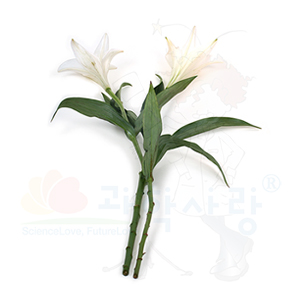 »óǰ ¼¶³×ÀÏ »óǰ ¼¶³×ÀÏ